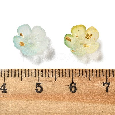 Acrylic Bead Caps OACR-Z028-03G-1