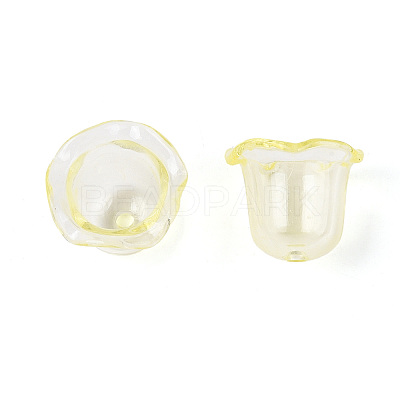 Transparent Acrylic Bead Caps TACR-T028-58E-1