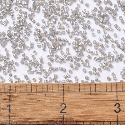 MIYUKI Delica Beads SEED-J020-DB1877-1