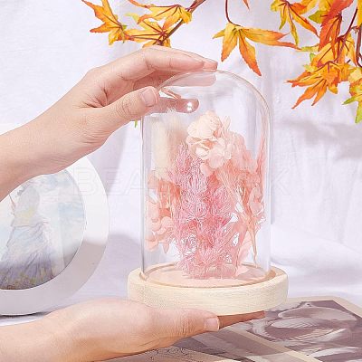 Glass Dome Cover ODIS-WH0010-41B-1