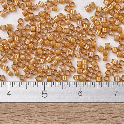 MIYUKI Delica Beads X-SEED-J020-DB1778-1
