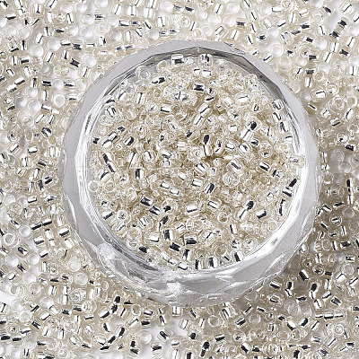 Glass Seed Beads X1-SEED-S042-04A-06-1
