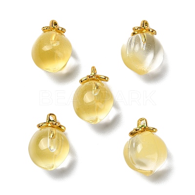 Glass Pendants GLAA-P072-05G-06-1