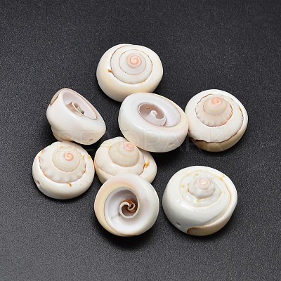 Natural Shiva Eye Shell Beads BSHE-O007-29-1