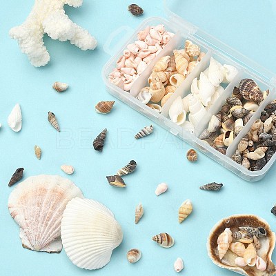 5 Styles Mixed Natural Shell Beads SSHEL-YW0001-04-1