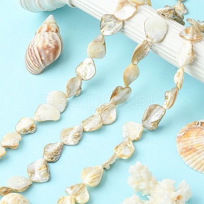 Handmade Shell Beads Strands X-PBB471-1-1