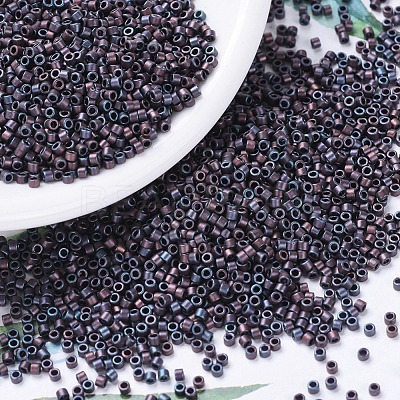 MIYUKI Delica Beads Small SEED-X0054-DBS0312-1