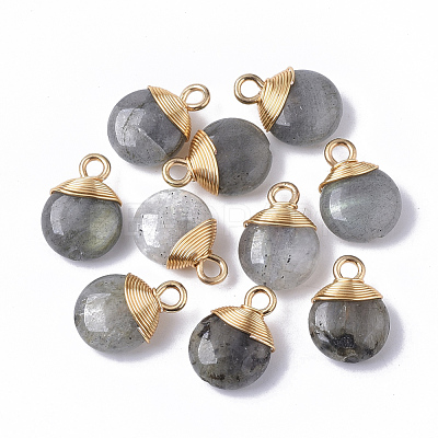 Natural Labradorite Pendants G-S359-021A-1