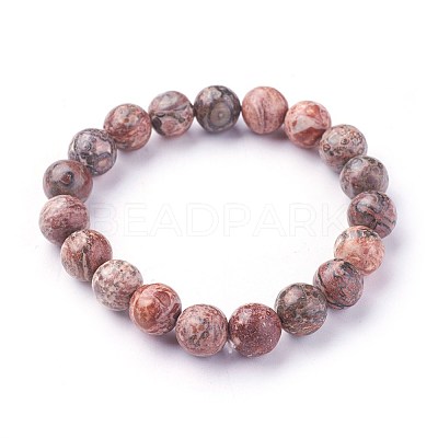 Natural Leopard Skin Jasper Beads Stretch Bracelets BJEW-F380-01-B12-1