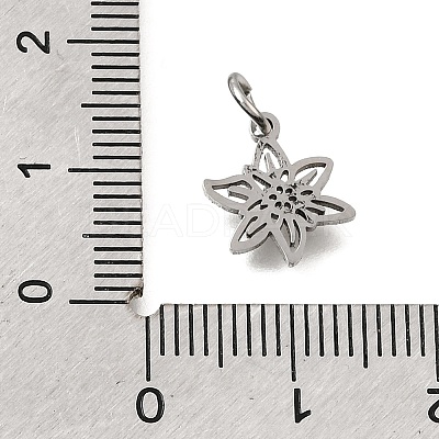 304 Stainless Steel Charms SA-CBA4CE0-01P-K-1