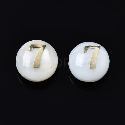 Natural Freshwater Shell Beads SHEL-N003-20-07-1