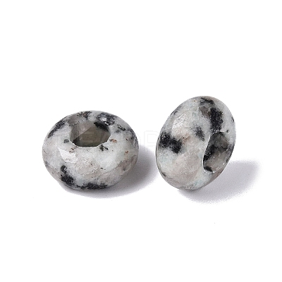Natural Labradorite European Beads G-N359-17A-06-1