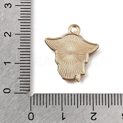 Alloy with Enamel Pendants AL-CBA9E11-03KCG-12-1