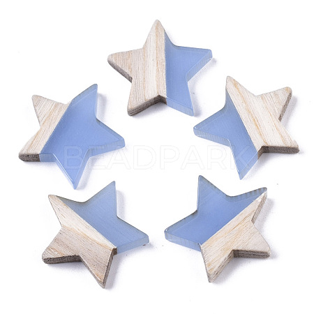 Resin & Wood Cabochons RESI-R425-02C-1