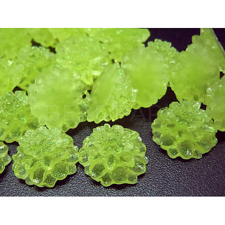 Flower Resin Cabochons CRES-A758-7-1-1