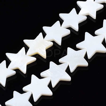 Natural Freshwater Shell Beads Strands SHEL-S278-01D-01-1