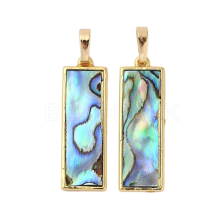 Rack Plating Natural Paua Shell Pendants KK-E059-14G-1