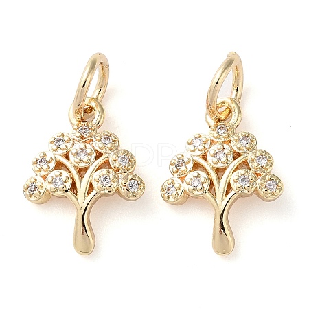 Rack Plating Brass Micro Pave Clear Cubic Zirconia Charms X-KK-D097-05G-1