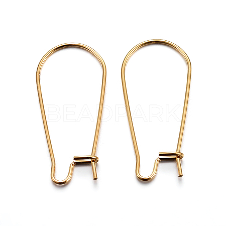 304 Stainless Steel Hoop Earring Findings X-STAS-P223-01G-04-1