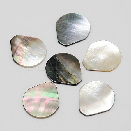 Teardrop Black Lip Shell Cabochons SSHEL-M008-02-1