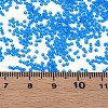 15/0 Transparent Czech Glass Seed Beads SEED-N004-004-06-6