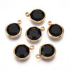 K9 Glass Charms X1-GLAA-T023-37A-01-1