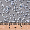 11/0 FGB Grade A Ceylon Glass Seed Beads X-SEED-N001-B-0486-3