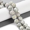 Natural Peace Jade Beads Strands G-NH0021-A08-02-2