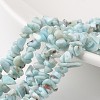 Chip Natural Larimar Bead Strands G-M349-09-1