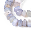 Natural Agate Beads Strands G-N356-01A-19-4