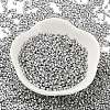 Baking Paint Glass Seed Beads X-SEED-S042-15B-33-2