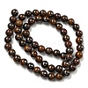 Natural Yellow Tiger Iron Beads Strands G-C079-A03-01-3