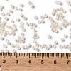 Baking Paint Glass Seed Beads X-SEED-S042-15A-02-4