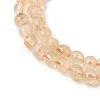 Heated Natural Citrine Bead Strands G-P466-01E-01-3