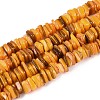 Natural Freshwater Shell Beads Strands SHEL-N037-01A-1