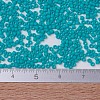MIYUKI Delica Beads X-SEED-J020-DB0793-4