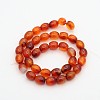 Oval Natural Carnelian Beads Strands G-D622-06-A-2