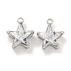 304 Stainless Steel Cubic Zirconia Pendants STAS-L278-008P-1