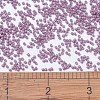 MIYUKI Delica Beads LS-X-SEED-J020-DB0800-4
