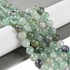 Natural Fluorite Beads Strands X-G-P530-B04-03-2
