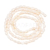 Natural Cultured Freshwater Pearl Beads Strands PEAR-D003-01D-01-3