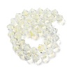 Handmade Lampwork Beads Strands LAMP-Q036-03D-2