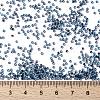 MIYUKI Round Rocailles Beads X-SEED-G009-RR0346-4