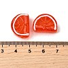 Handmade Lampwork Beads LAMP-S079-12A-4