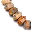 Natural Crazy Agate Double Terminated Point Beads Strands G-T142-90-4