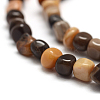 Natural Petrified Wood Beads Strands G-F465-20B-3