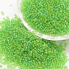 8/0 Round Glass Seed Beads X-SEED-J011-F8-174-1