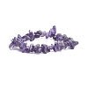 Natural Amethyst Chips Beaded Jewelry Set X-SJEW-JS01232-03-4
