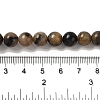 Natural Chiastolite Beads Strands G-Q161-A03-03-5
