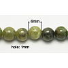 Natural Idocrase Beads Strands G-N165-7-5